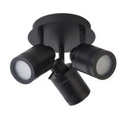 Searchlight потолочный светильник Samson 6603BK цена и информация | Потолочные светильники | pigu.lt