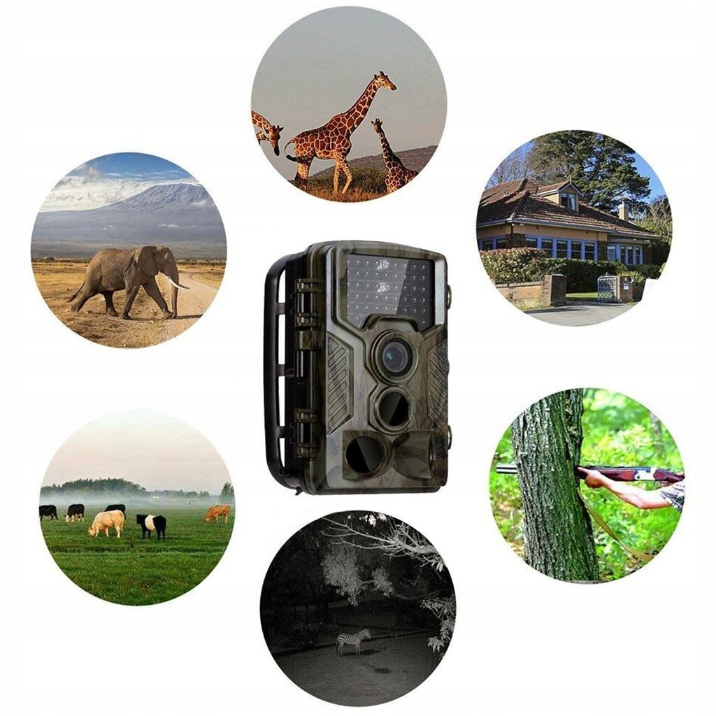 Fotoaparatas miško stebėjimui kaina ir informacija | Stebėjimo kameros | pigu.lt