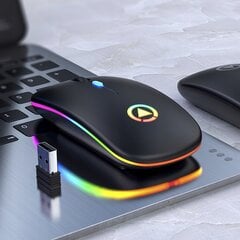 Беспроводная игровая мышь с RGB-подсветкой. цена и информация | Мыши | pigu.lt