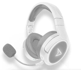 Steelplay Impulse White JVAMUL00157 kaina ir informacija | Ausinės | pigu.lt