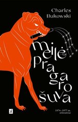 Meilė – tai pragaro šuva цена и информация | Поэзия | pigu.lt