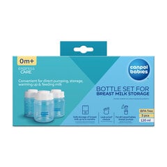 Buteliukų rinkinys pieno laikymui Canpol Babies, 3x120ml, 0M+, 35/235 kaina ir informacija | Buteliukai kūdikiams ir jų priedai | pigu.lt