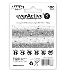 everActive EVHRL03-550 цена и информация | Аккумуляторы для фотоаппаратов | pigu.lt