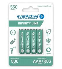 everActive EVHRL03-550 цена и информация | Аккумуляторы для фотоаппаратов | pigu.lt