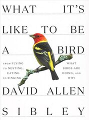 What It's Like to be a Bird: From Flying to Nesting, Eating to Singing--What Birds Are Doing, and Why цена и информация | Книги о питании и здоровом образе жизни | pigu.lt