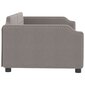 Sofa-lova vidaXL, 100x200 cm, ruda цена и информация | Lovos | pigu.lt