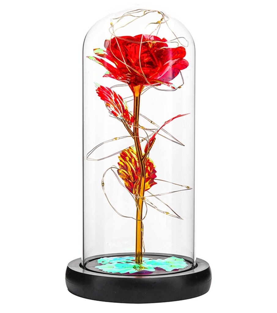 Amžina Rožė Iš Led Stiklo kaina ir informacija | Miegančios rožės, stabilizuoti augalai | pigu.lt