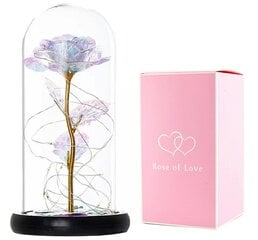 Amžina rožė iš LED balto stiklo kaina ir informacija | Miegančios rožės, stabilizuoti augalai | pigu.lt