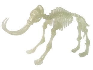 Светящийся в темноте 3D-скелет динозавров мамонта в яйце цена и информация | Игрушки для мальчиков | pigu.lt