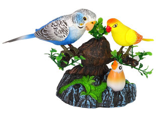Поющие движущиеся попугаи Красочное дерево цена и информация | Развивающие игрушки | pigu.lt