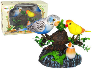 Поющие движущиеся разноцветные древесные попугаи цена и информация | Развивающие игрушки | pigu.lt