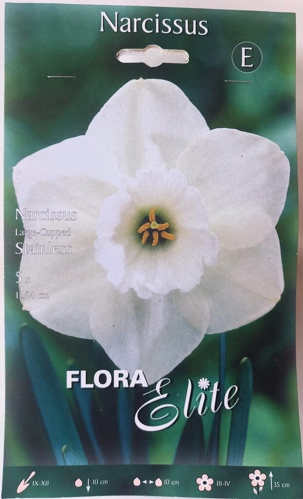 Narcizai Stainless, 5 vnt kaina ir informacija | Gėlių svogūnėliai | pigu.lt