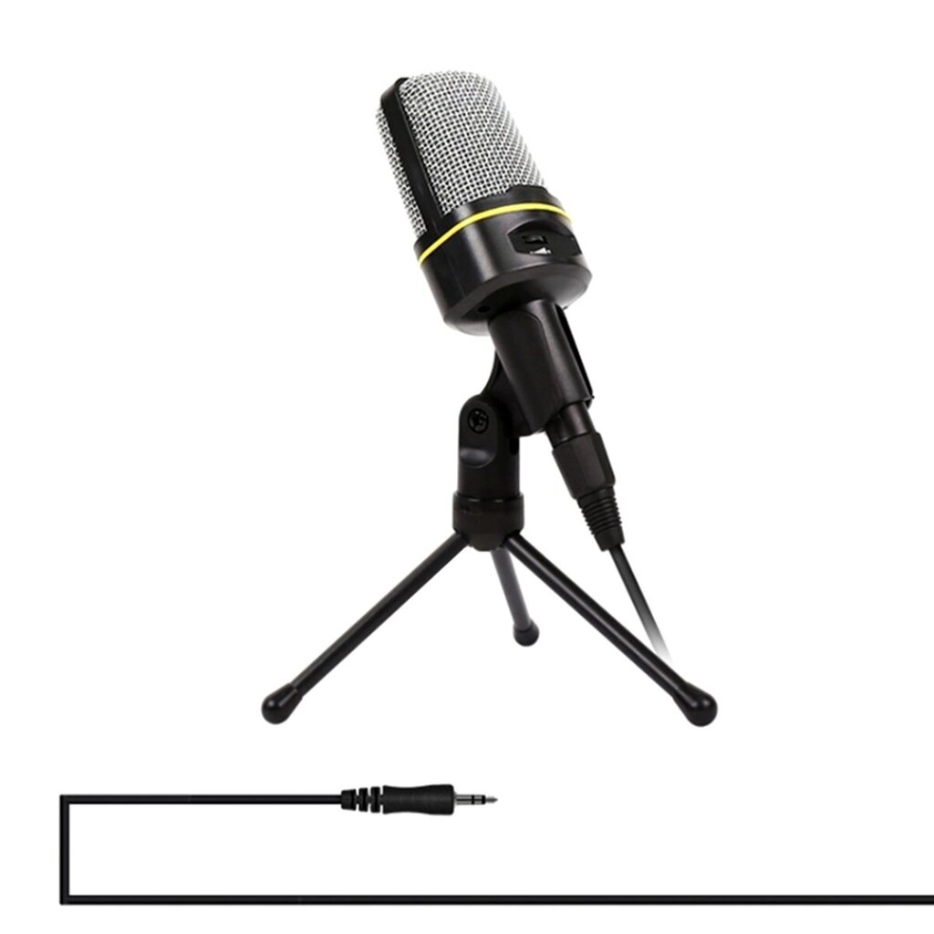 Microphone with Stand Black 1884191116402 kaina ir informacija | Mikrofonai | pigu.lt