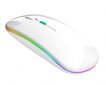 Wireless RGB Mouse 1884191116406 kaina ir informacija | Pelės | pigu.lt