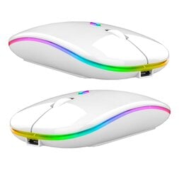 Wireless RGB Mouse 1884191116406 kaina ir informacija | Pelės | pigu.lt