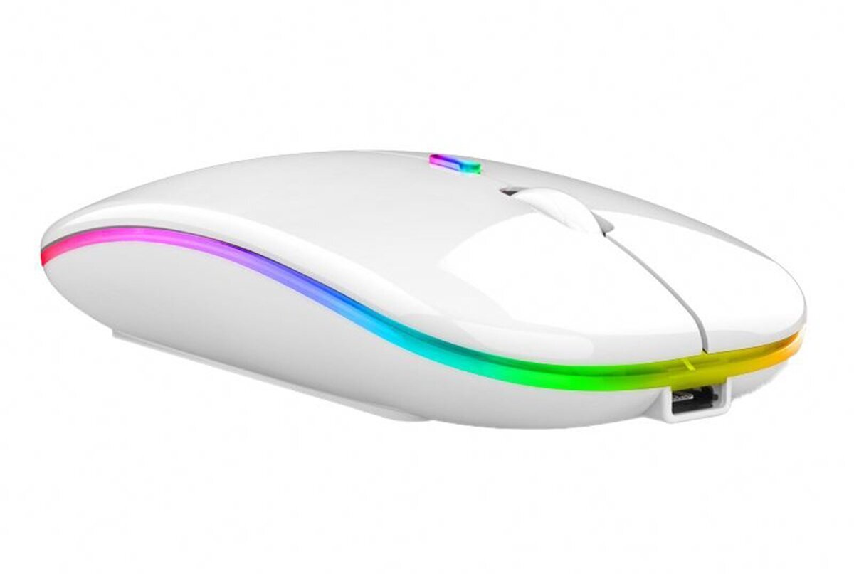 Wireless RGB Mouse 1884191116406 kaina ir informacija | Pelės | pigu.lt