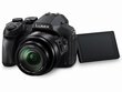 Panasonic Lumix DMC-FZ300 kaina ir informacija | Skaitmeniniai fotoaparatai | pigu.lt