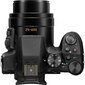 Panasonic Lumix DMC-FZ300 kaina ir informacija | Skaitmeniniai fotoaparatai | pigu.lt