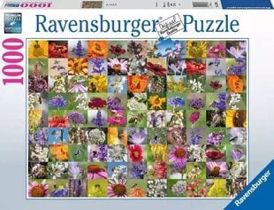 Dėlionė Ravensburger Gėlių Koliažas, 1000 d. цена и информация | Пазлы | pigu.lt