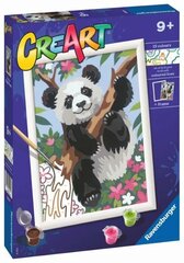 Tapyba pagal skaičius Ravensburger CreArt Panda kaina ir informacija | Tapyba pagal skaičius | pigu.lt