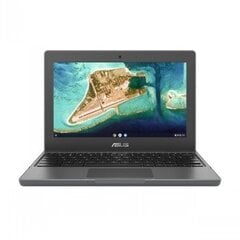Товар с повреждением. Asus Chromebook CR1 CR1100CKA-YZ142 цена и информация | Asus Аутлет | pigu.lt