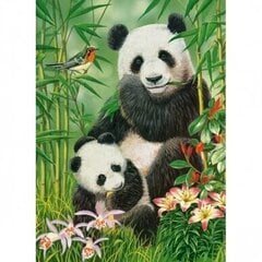 Пазл Castorland Panda Brunch 300 деталей цена и информация | Пазлы | pigu.lt