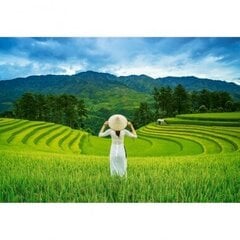 Dėlionė Castorland Rice Fields in Vietnam 1000 det цена и информация | Пазлы | pigu.lt