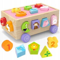 Edukacinis kubas NiceKids цена и информация | Развивающие игрушки | pigu.lt