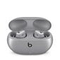 Beats Studio Buds Cosmic Silver MT2P3ZM/A цена и информация | Ausinės | pigu.lt