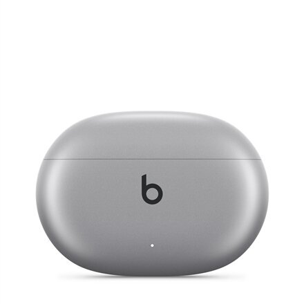 Beats Studio Buds Cosmic Silver MT2P3ZM/A kaina ir informacija | Ausinės | pigu.lt