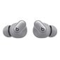 Beats Studio Buds Cosmic Silver MT2P3ZM/A цена и информация | Ausinės | pigu.lt