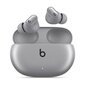 Beats Studio Buds Cosmic Silver MT2P3ZM/A kaina ir informacija | Ausinės | pigu.lt