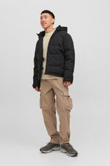 Jack & Jones мужская куртка 200г 12239001*01, черный 5715431279950 цена и информация | Мужские куртки | pigu.lt