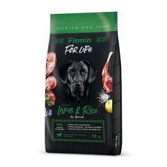 Fitmin for Life Lamb&Rice, 12 kg kaina ir informacija | Sausas maistas šunims | pigu.lt