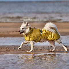 Светоотражающий дождевик для собак Hurtta Mudventure цена и информация | Одежда для собак | pigu.lt