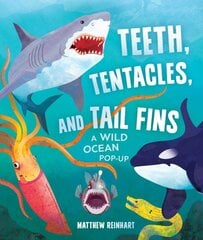Teeth, Tentacles, and Tail Fins (Reinhart Pop-Up Studio): A Wild Ocean Pop-Up kaina ir informacija | Knygos mažiesiems | pigu.lt