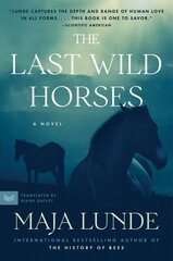 Last Wild Horses kaina ir informacija | Fantastinės, mistinės knygos | pigu.lt