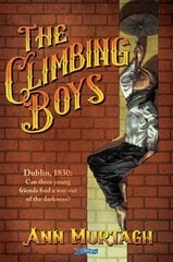 Climbing Boys: Dublin, 1830: Can three young friends find a way out of the darkness? цена и информация | Книги для подростков и молодежи | pigu.lt