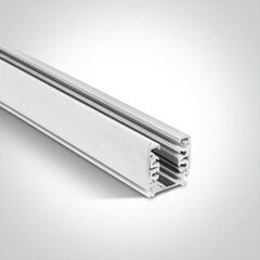 OneLight потолочный светильник Square Track Surface 40002A/W цена и информация | Потолочные светильники | pigu.lt