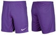 Šortai vyrams Nike Dry Park III NB K BV6855 547, violetiniai цена и информация | Vyriški šortai | pigu.lt