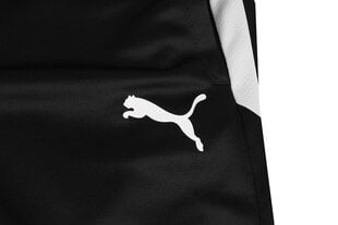 Sportinės kelnės vyrams Puma 657271 03, juodos цена и информация | Мужские брюки FINIS | pigu.lt