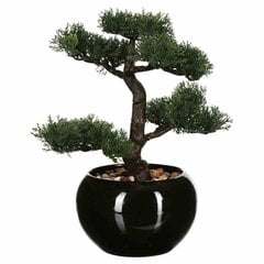 Dirbtinis Bonsai medelis vazone kaina ir informacija | Dirbtinės gėlės | pigu.lt