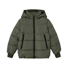Name It striukė berniukams 13219021, žalia цена и информация | Куртки для мальчиков | pigu.lt