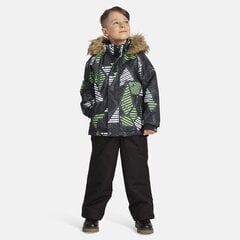 Huppa детский комплект 300/160г Winter 41480030*32587, серый/зелёный 4741632188129 цена и информация | Зимняя одежда для детей | pigu.lt