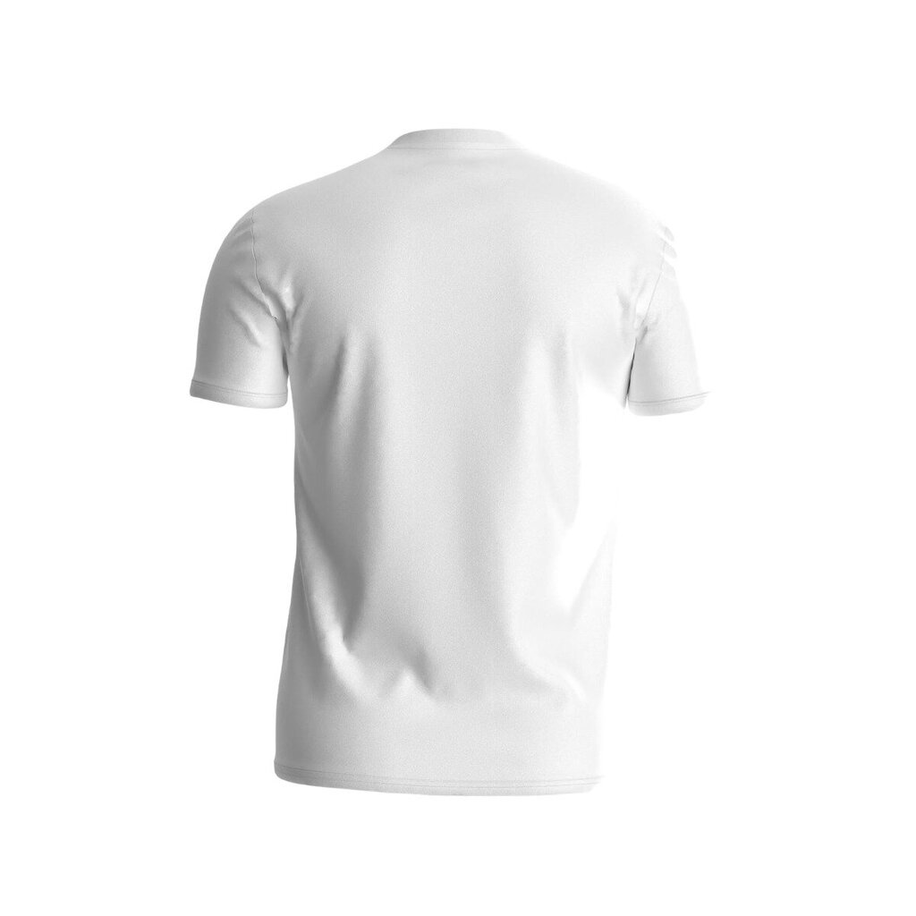Guess marškinėliai vyrams 81464, balti kaina ir informacija | Vyriški marškinėliai | pigu.lt