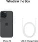 Apple iPhone 15 256GB Black MTP63PX/A kaina ir informacija | Mobilieji telefonai | pigu.lt