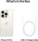 Apple iPhone 15 Pro Max 256GB White Titanium MU783PX/A цена и информация | Mobilieji telefonai | pigu.lt