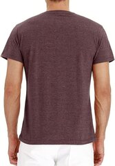 Мужская футболка EUDOLAH, короткие рукава, легкая, круглый вырез, красная цена и информация | Футболка мужская | pigu.lt