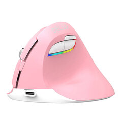 Wireless Vertical Mouse Delux M618Mini DB BT+2.4G 2400DPI (pink) цена и информация | Мыши | pigu.lt