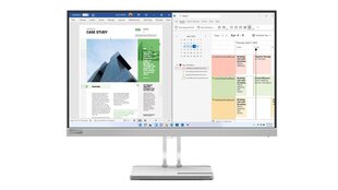 Lenovo L25e-40 kaina ir informacija | Monitoriai | pigu.lt